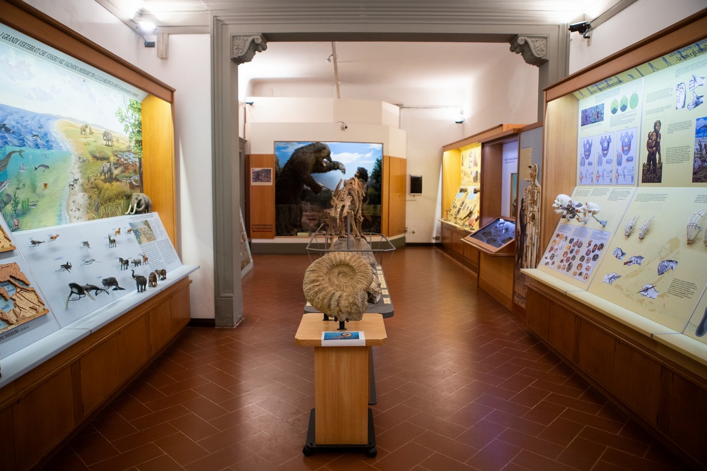 Toccare la storia – visita tattile al Museo Civico di Paleontologia
